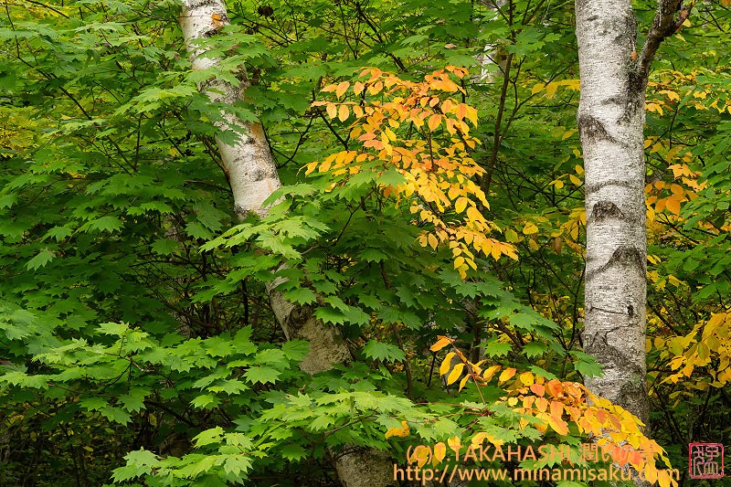 ../Images/7R251013 (110).jpg